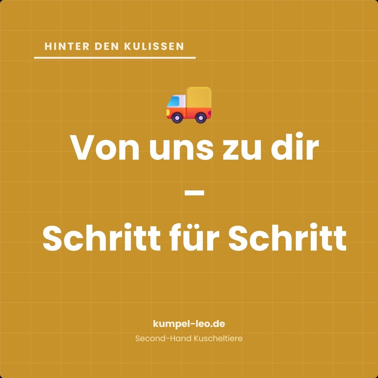 Von der Lieferung bis zum Shop: So läuft es bei Kumpel Leo ab - Kumpel Leo