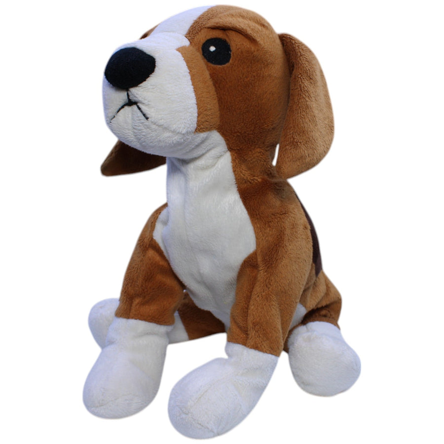 Beagle, GOSIG VALP