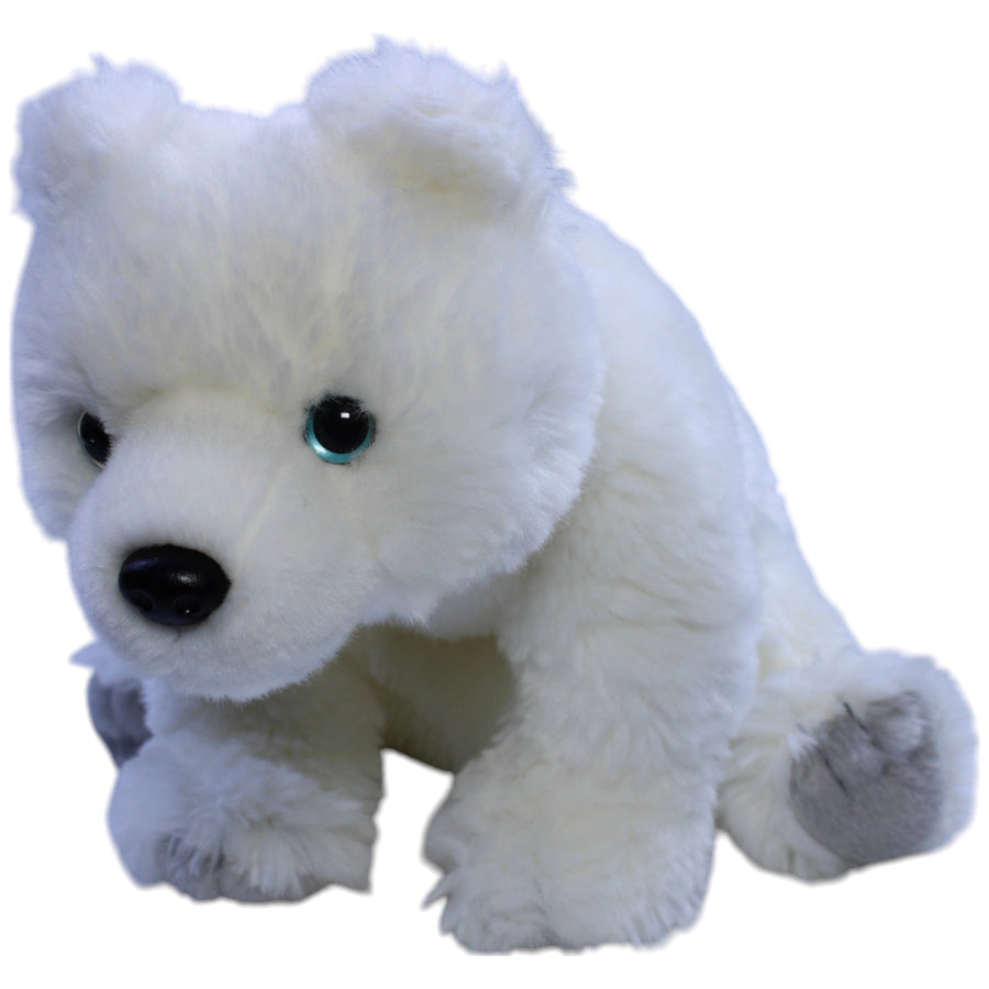 Hübscher Eisbär