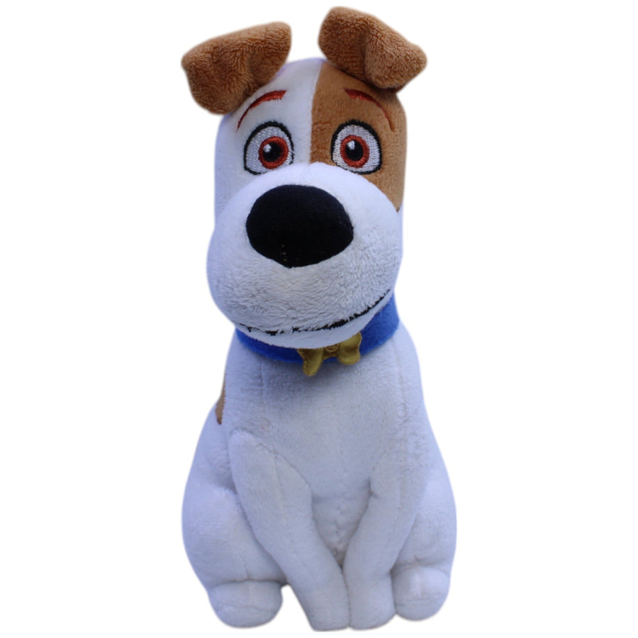 Jack Russell Terrier, Max aus Pets