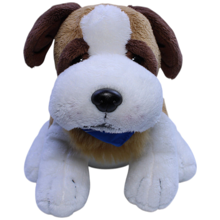 Buderus, süßer Hund mit Halstuch