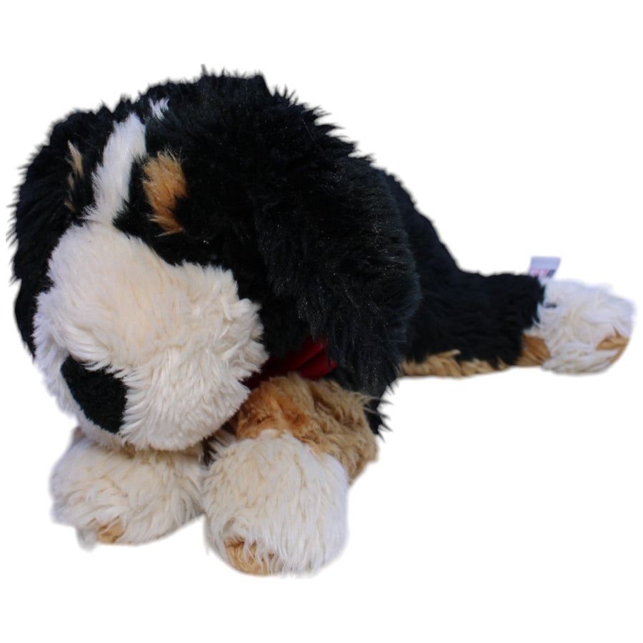 Red Friends, Berner Sennenhund mit Halstuch