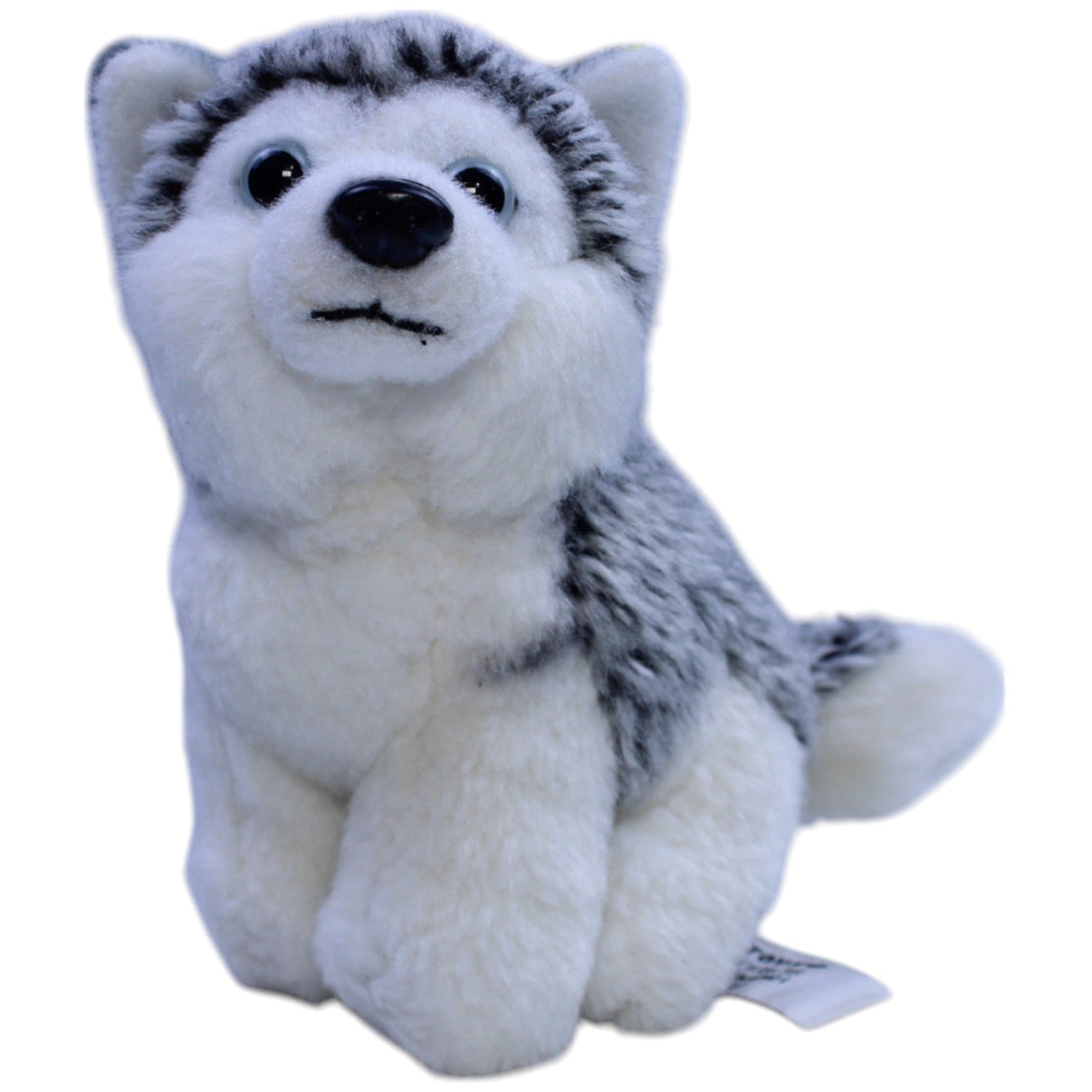 123000012869 Uni - Toys Hübscher Husky, mini Kuscheltier Kumpel Leo Gebraucht Hund