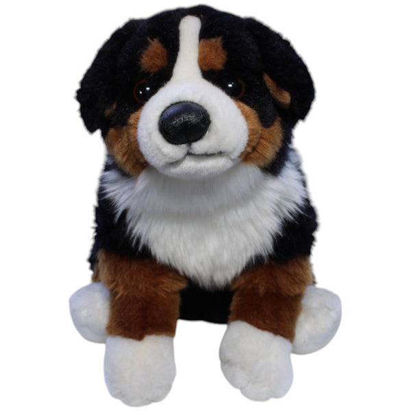 Berner Sennenhund, sitzend
