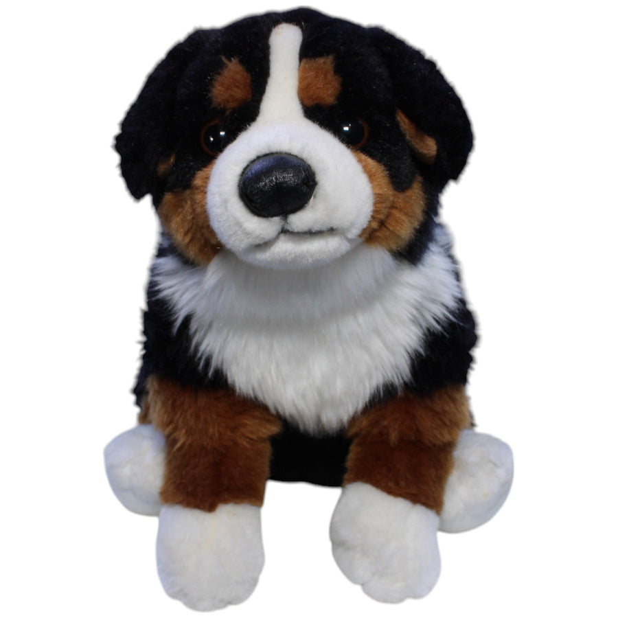 Berner Sennenhund, sitzend