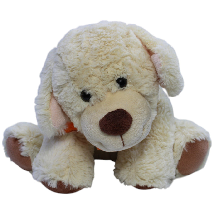 Süßer Hund mit Halstuch, sitzend