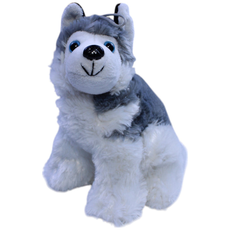 Süßer Husky, sitzend