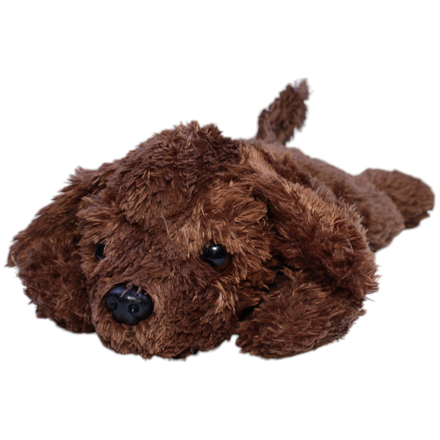 Brauner Hund, liegend