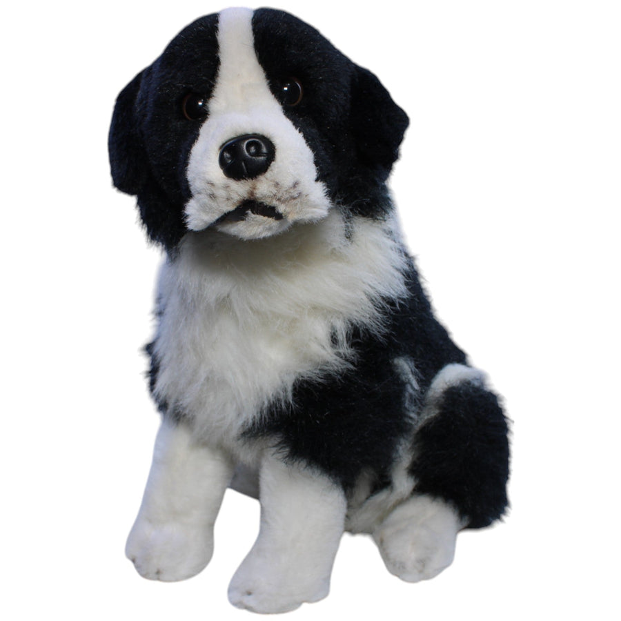 Großer Border Collie