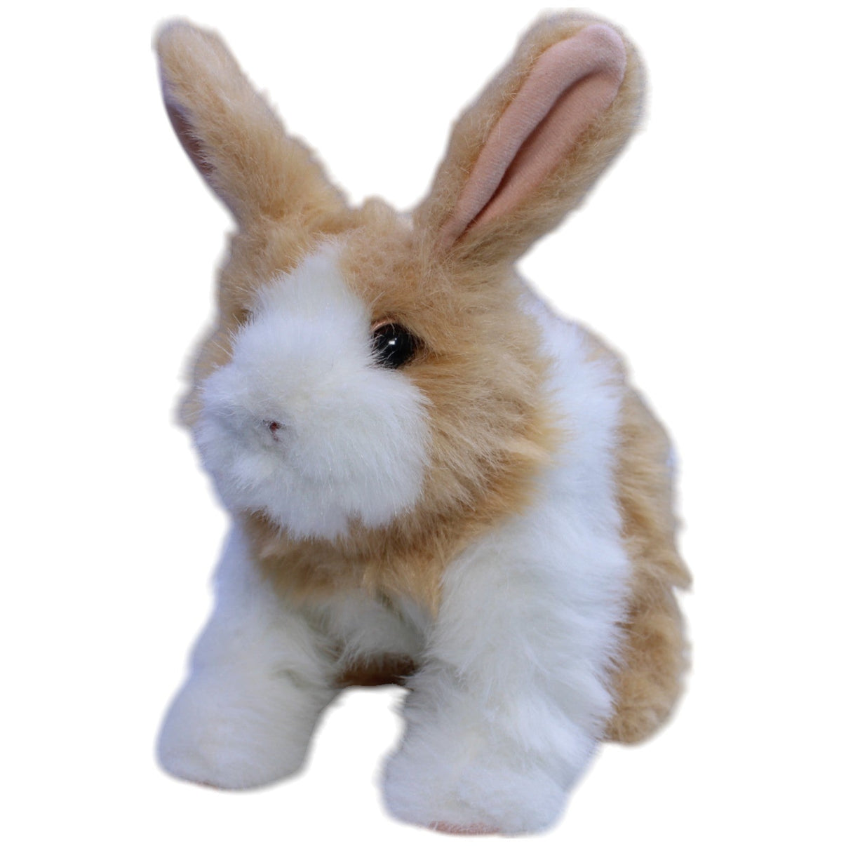 123000013123 Hasbro FurReal Friends, Hop 'n Cuddle Hase rot - weiß Interaktives Spielzeug Kumpel Leo Gebraucht Kaninchen