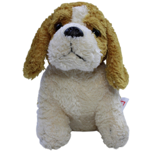 Süßer kleiner Hund