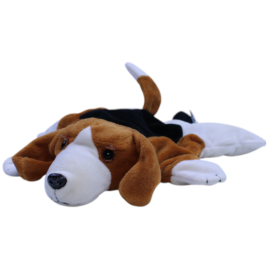 Süßer Hund