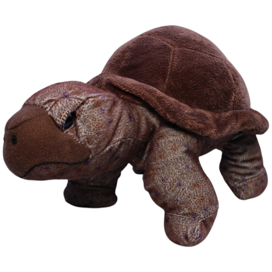 Große Landschildkröte
