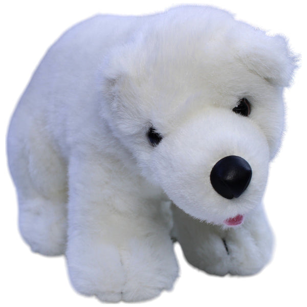 Hübscher Eisbär