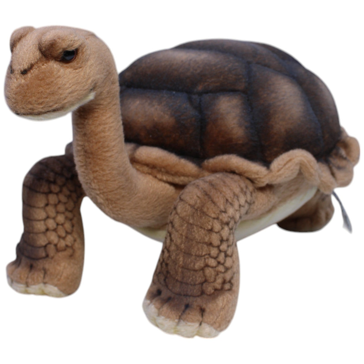 123000013327 Anima Hansa Creation, Landschildkröte Kuscheltier Kumpel Leo Gebraucht Schildkröte