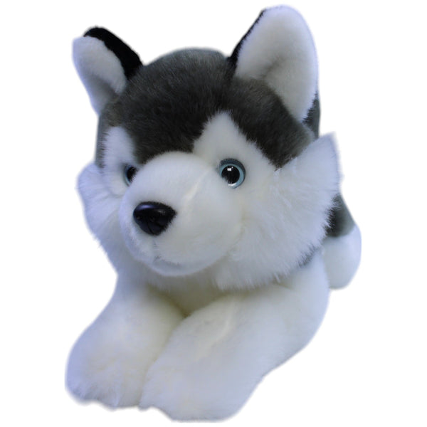 Süßer Husky, superweich