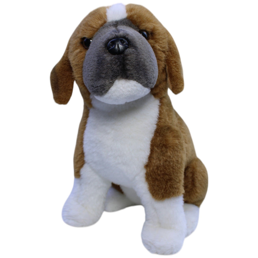 Hübscher Boxer, sitzend