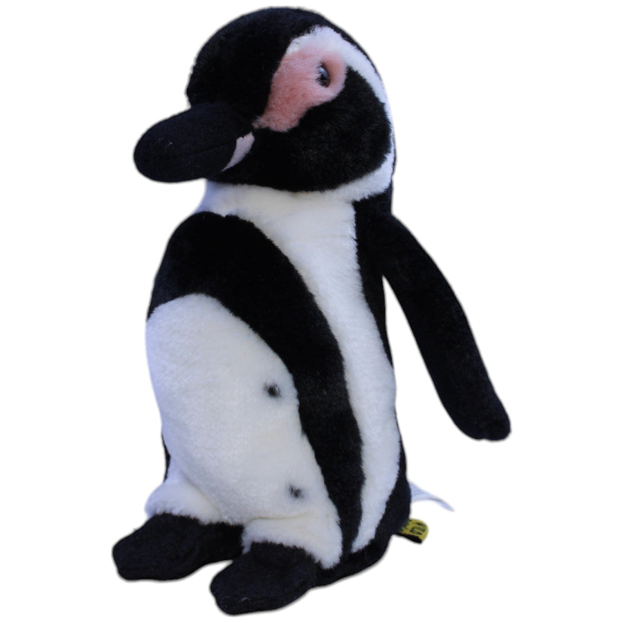 Magellanpinguin, klein