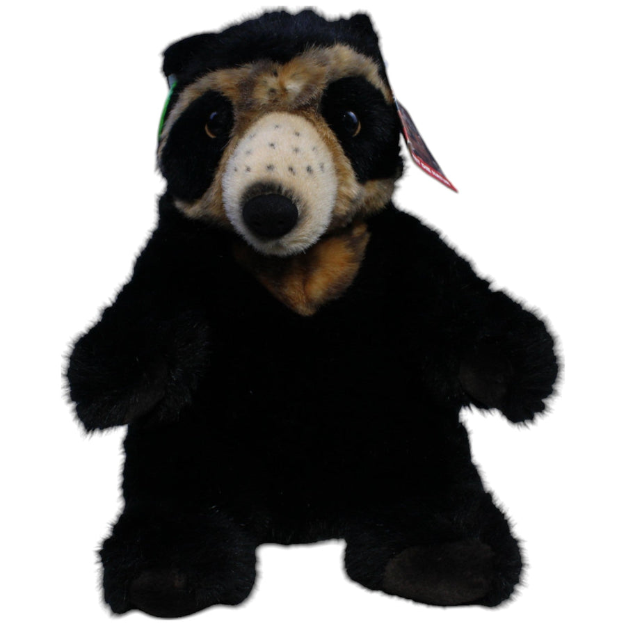 Brillenbär