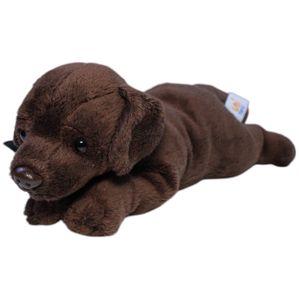Brauner Labrador mit Leine, liegend