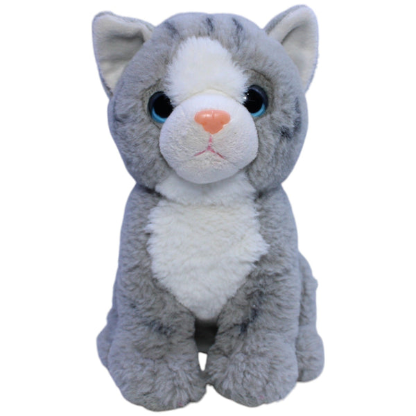 Süße grau-weiße Katze