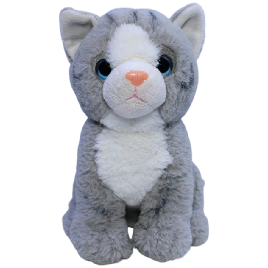 Süße grau-weiße Katze
