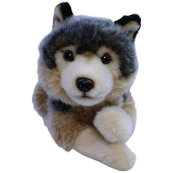 Wolf, liegend