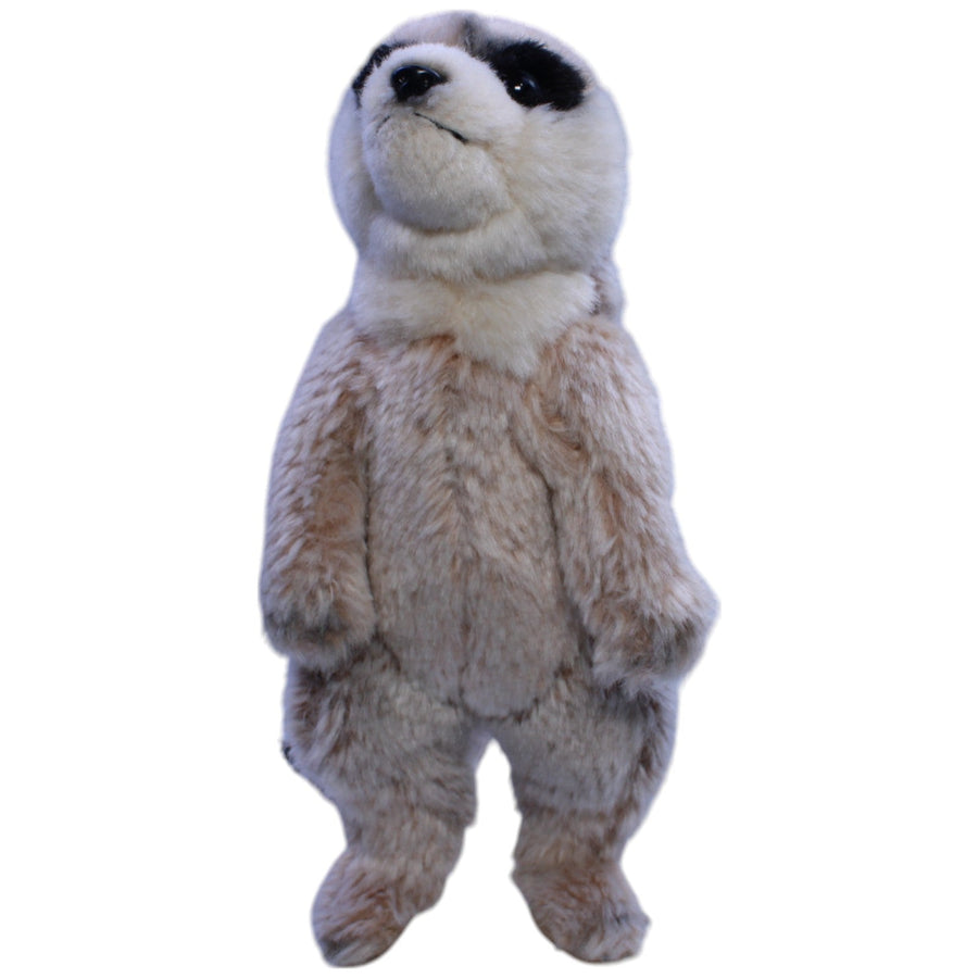 Süßes Erdmännchen, stehend