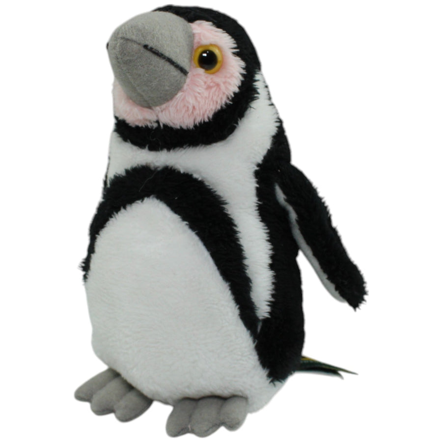 SUMA Collection, kleiner Humboldt-Pinguin