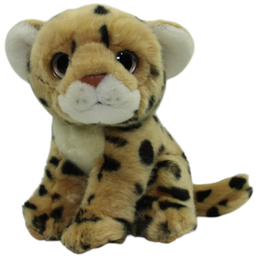 Baby Leopard, sitzend