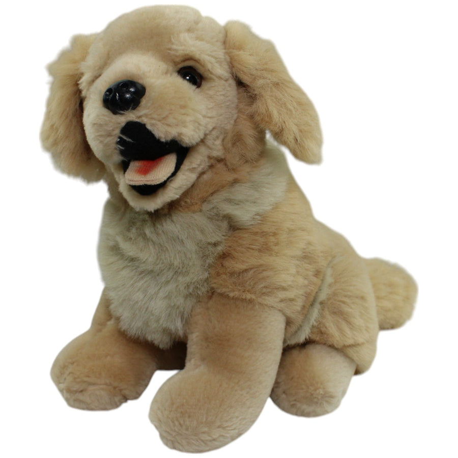Golden Retriever, sitzend