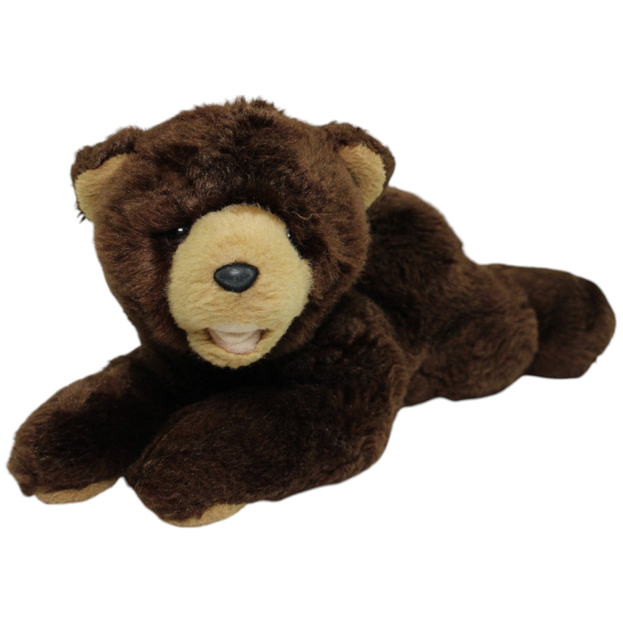 Braunbär, liegend