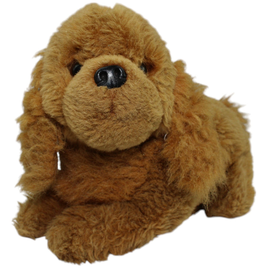 Brauner Hund, liegend