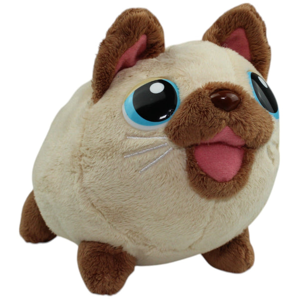 Chubby Puppies & Friends, Siamesische Katze