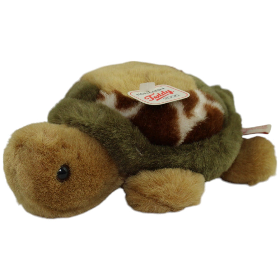 Süße Schildkröte