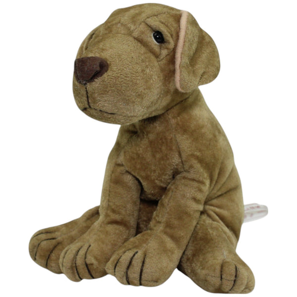 Kleiner brauner Hund, sitzend