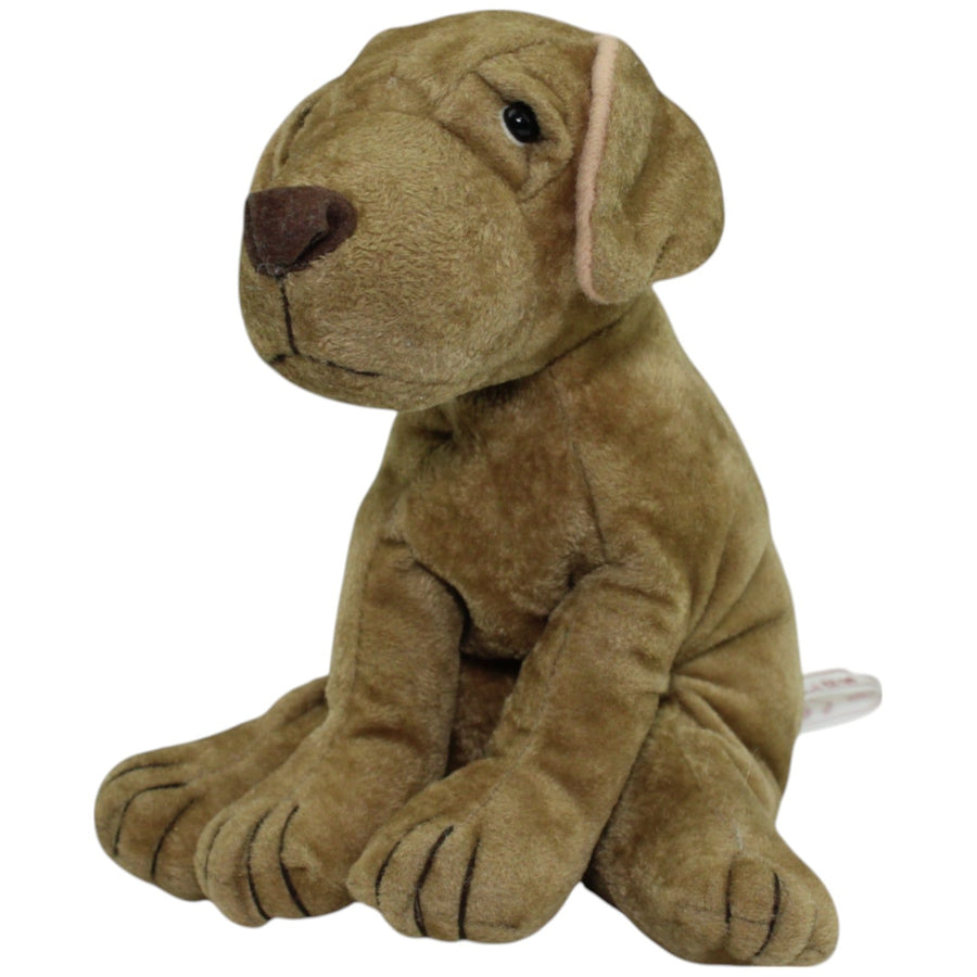 Kleiner brauner Hund, sitzend