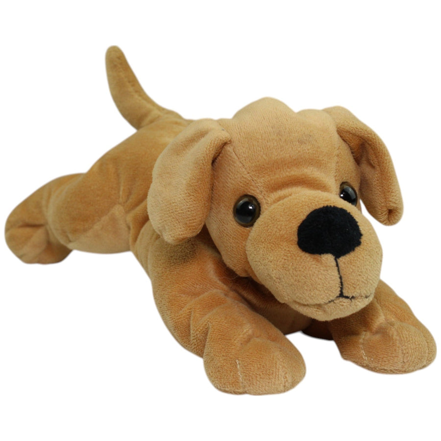 Süßer brauner Hund, liegend