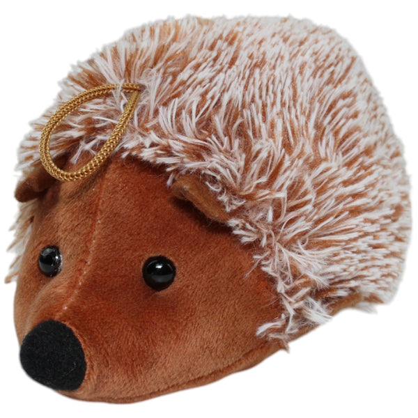 Kleiner Igel mit spitzer Nase