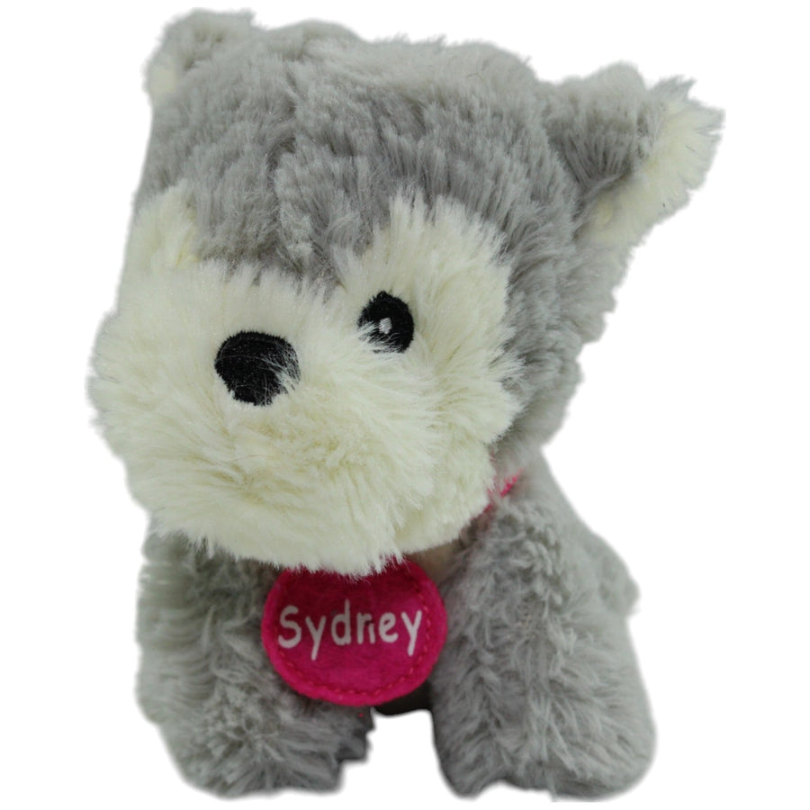 Action, Kleiner grauer Hund Sydney