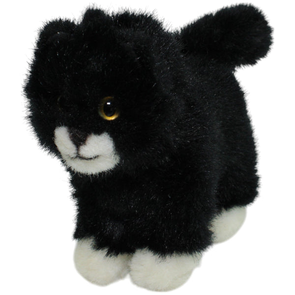 Schwarze Katze mit weißen Pfoten, stehend