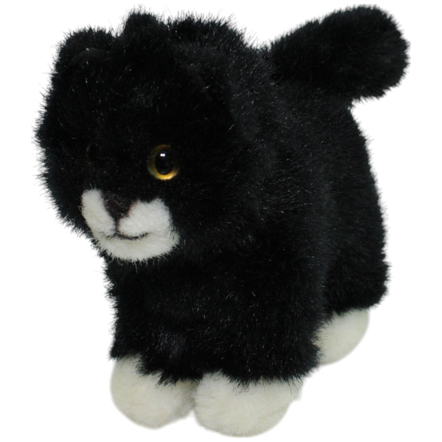 Schwarze Katze mit weißen Pfoten, stehend