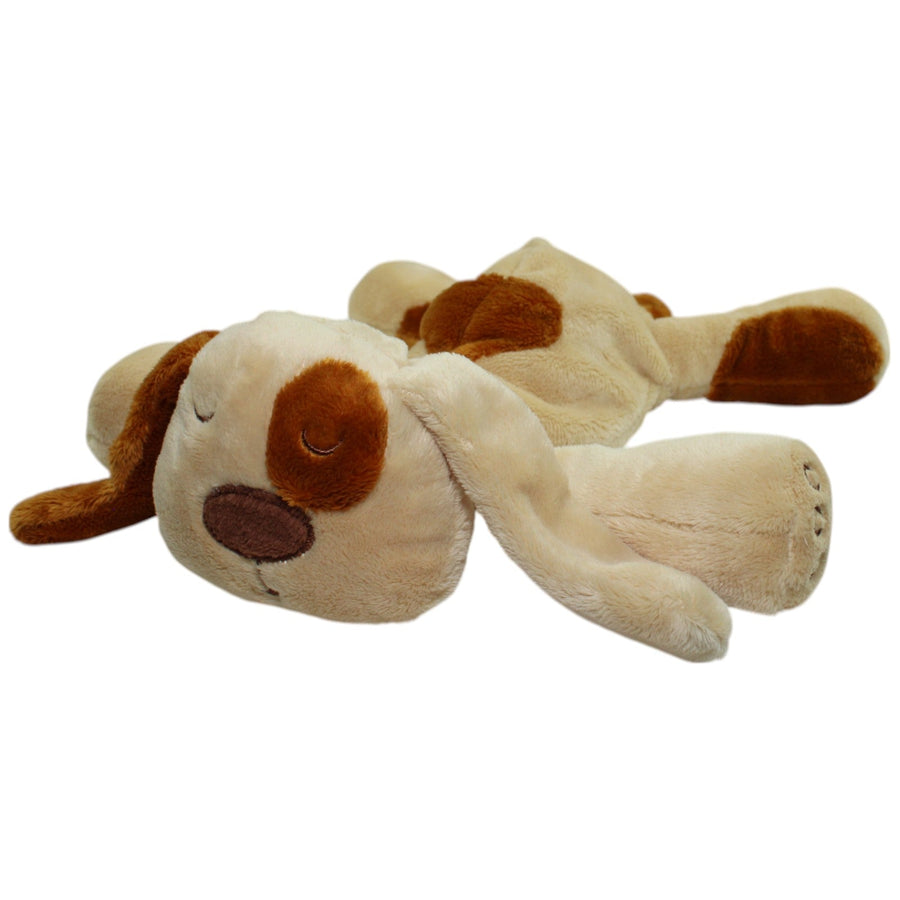 Schlafender Hund mit Schlappohren