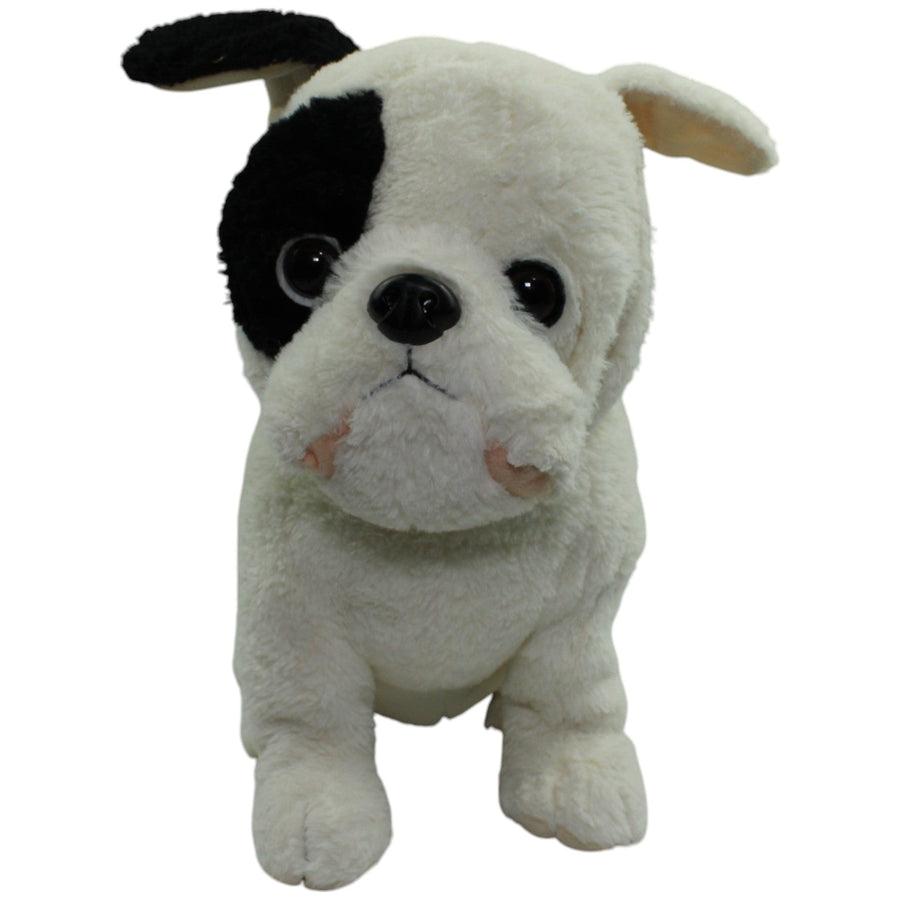XL Bulldogge, sitzend