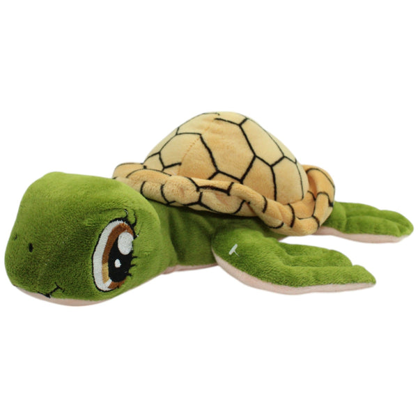 Schildkröte mit großen Augen