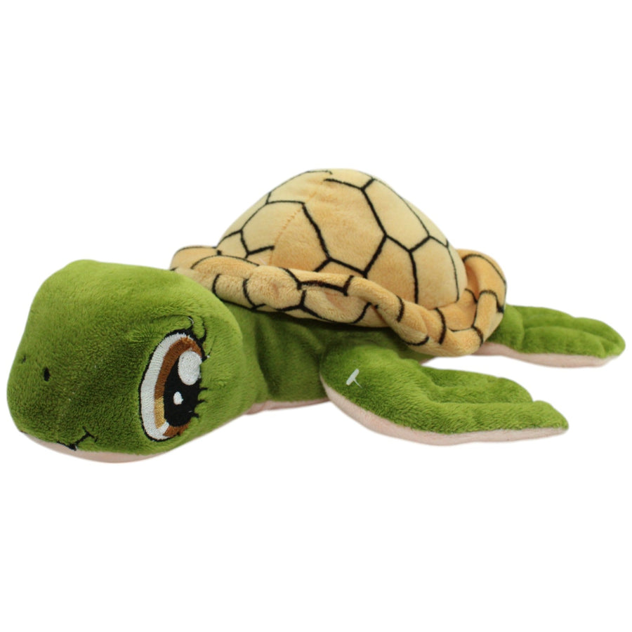 Schildkröte mit großen Augen