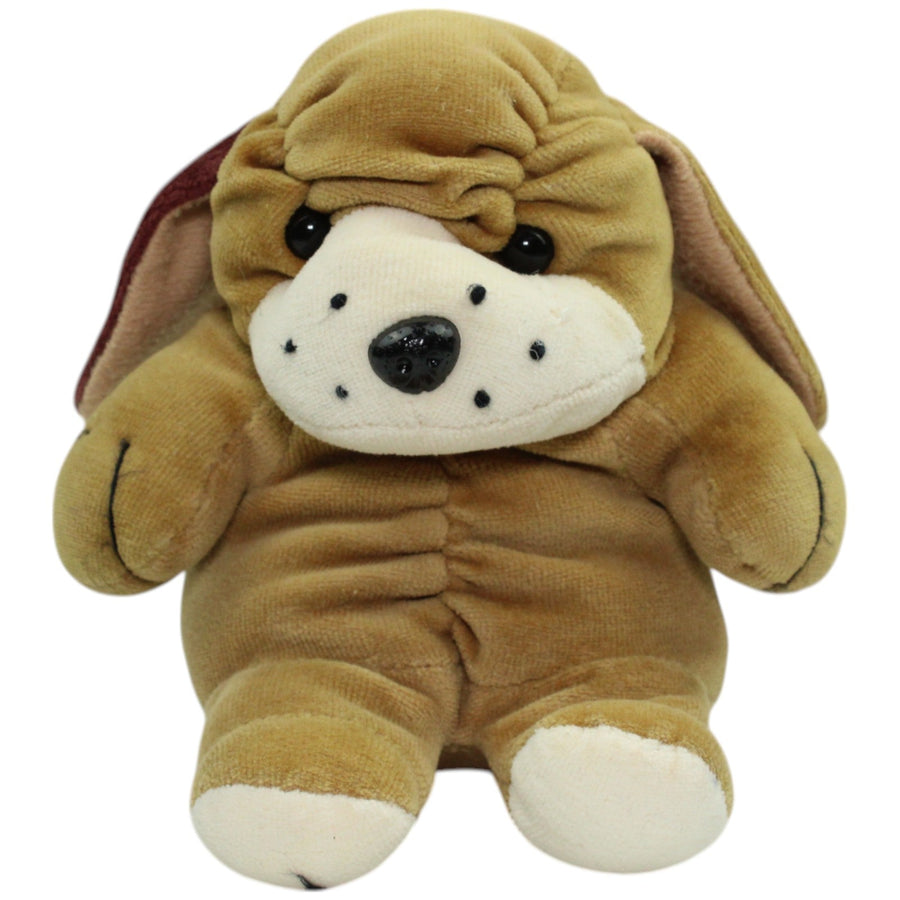 Süßer brauner Hund