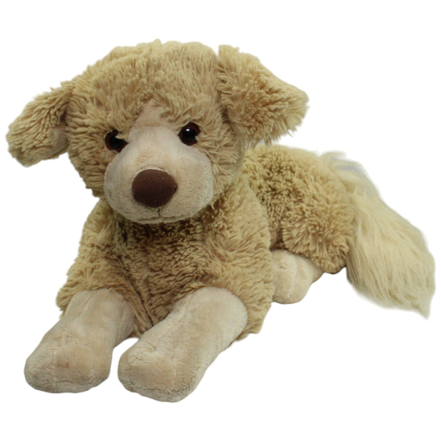XL Hund mit buschigem Schwanz, liegend