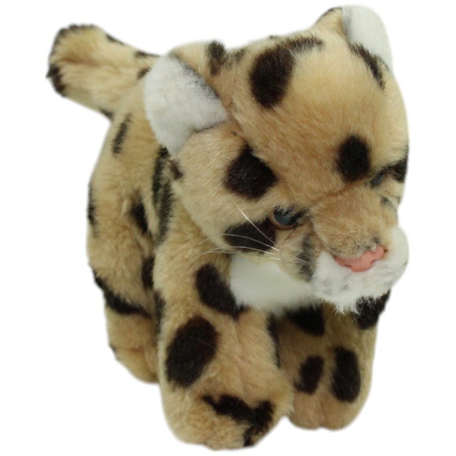 Leosco, Leopardenbaby stehend