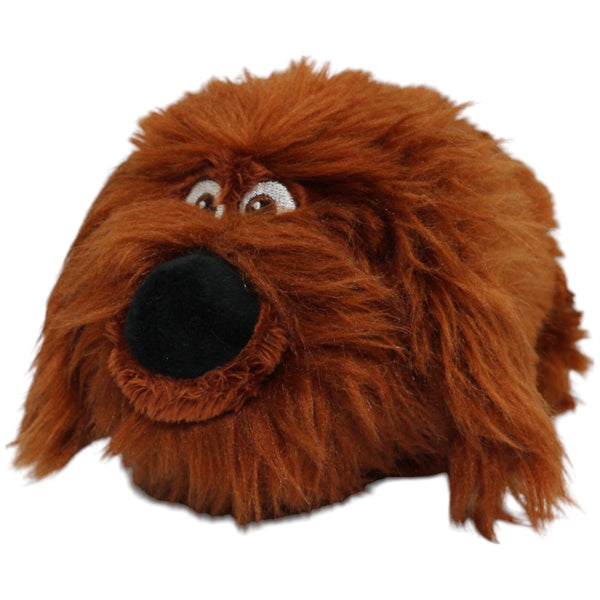 Duke aus Pets